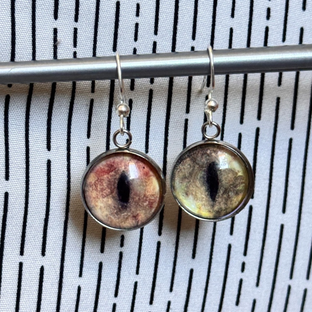 Unique Brown Mythical Creature Cat Eye Design Silver Earrings